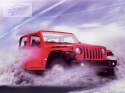 Auto terenowe JEEP RUBICON sterowane RASTAR RC0581